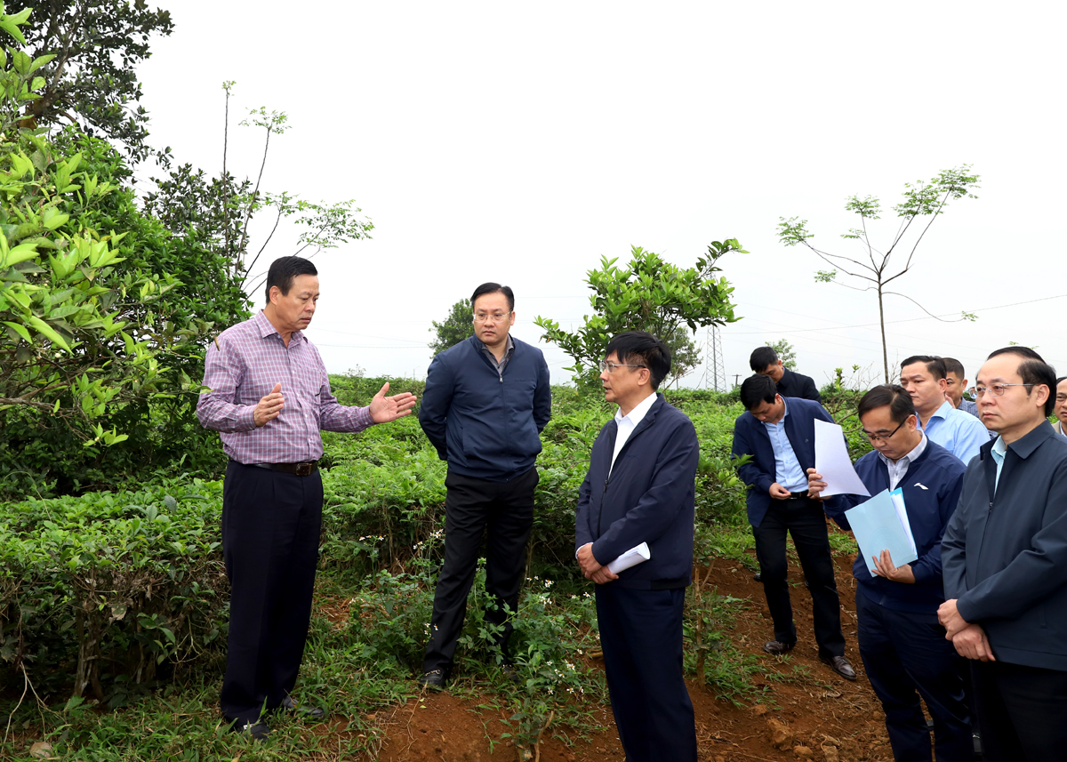 Chủ tịch UBND tỉnh Nguyễn Văn Sơn chỉ đạo biện pháp giải phóng mặt bằng thuộc khu vực xã Vĩnh Hảo.