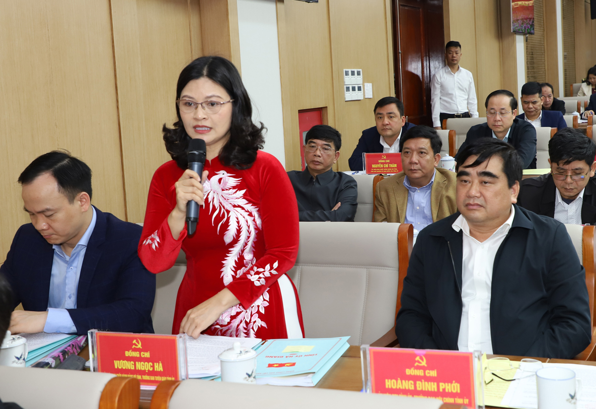 Trưởng Ban Tuyên giáo Tỉnh ủy Vương Ngọc Hà thảo luận tại hội nghị