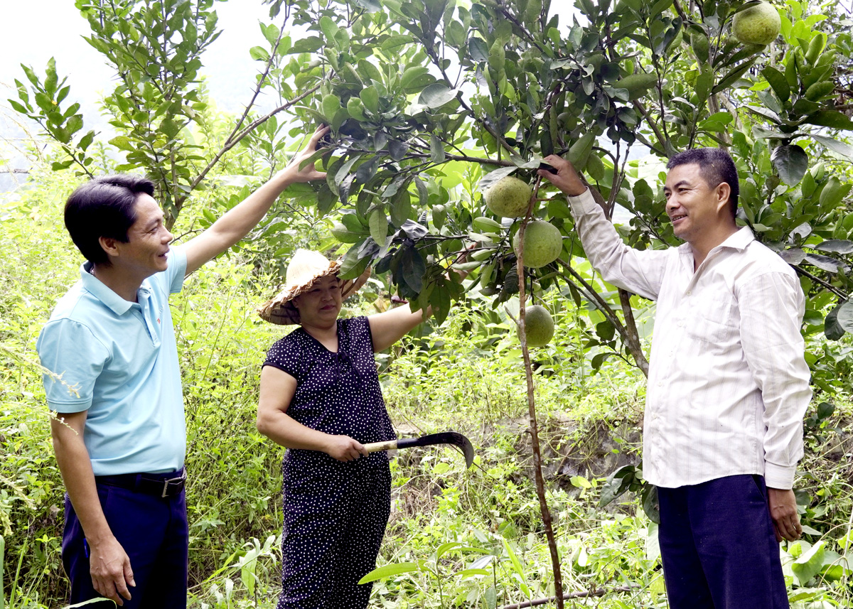 Gia đình anh Sùng Văn Thắng (bên phải) ở xã Thèn Phàng (Xín Mần) vay vốn của Agribank để cải tạo vườn tạp.