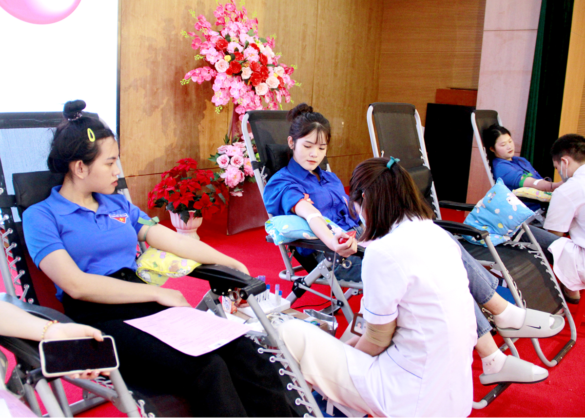 Đoàn viên, thanh niên Phân hiệu Đại học Thái Nguyên tại Hà Giang hiến máu tình nguyện.
