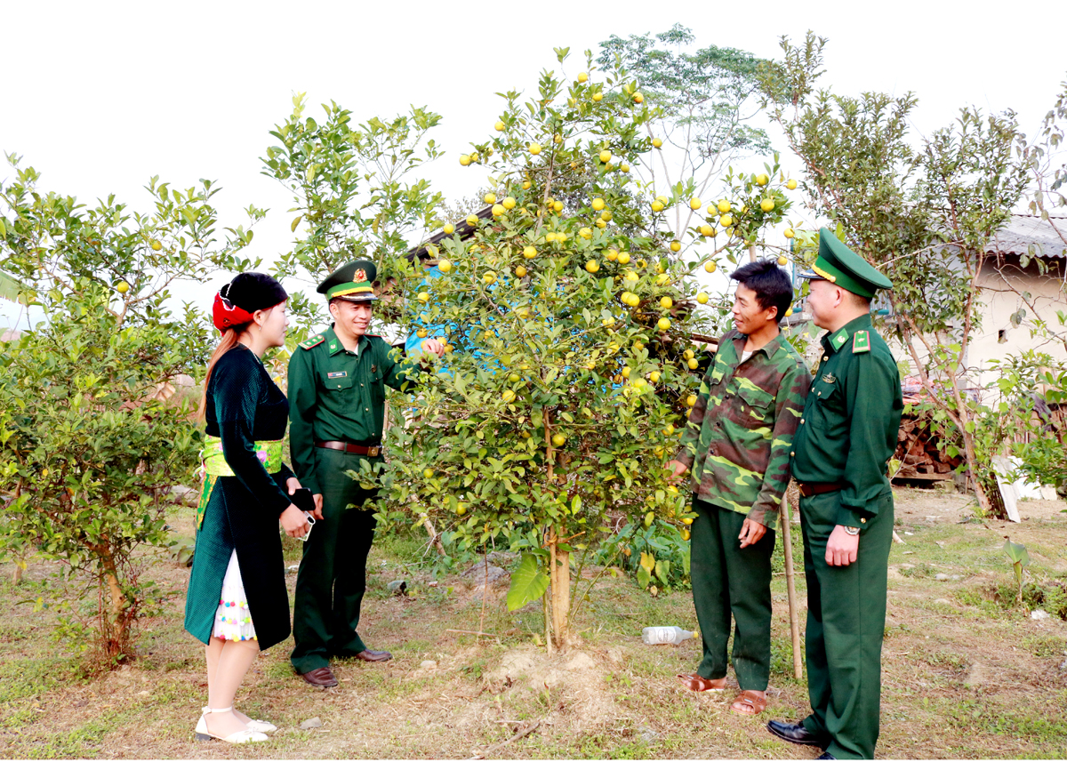 Cán bộ Biên phòng hướng dẫn người dân thôn Bản Thăng, xã Tùng Vài (Quản Bạ) kỹ thuật chăm sóc cây trồng.
