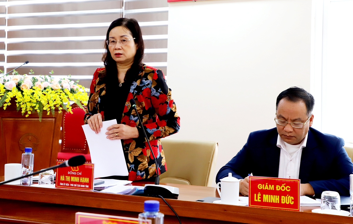 Phó Chủ tịch UBND tỉnh Hà Thị Minh Hạnh phát biểu tại buổi làm việc