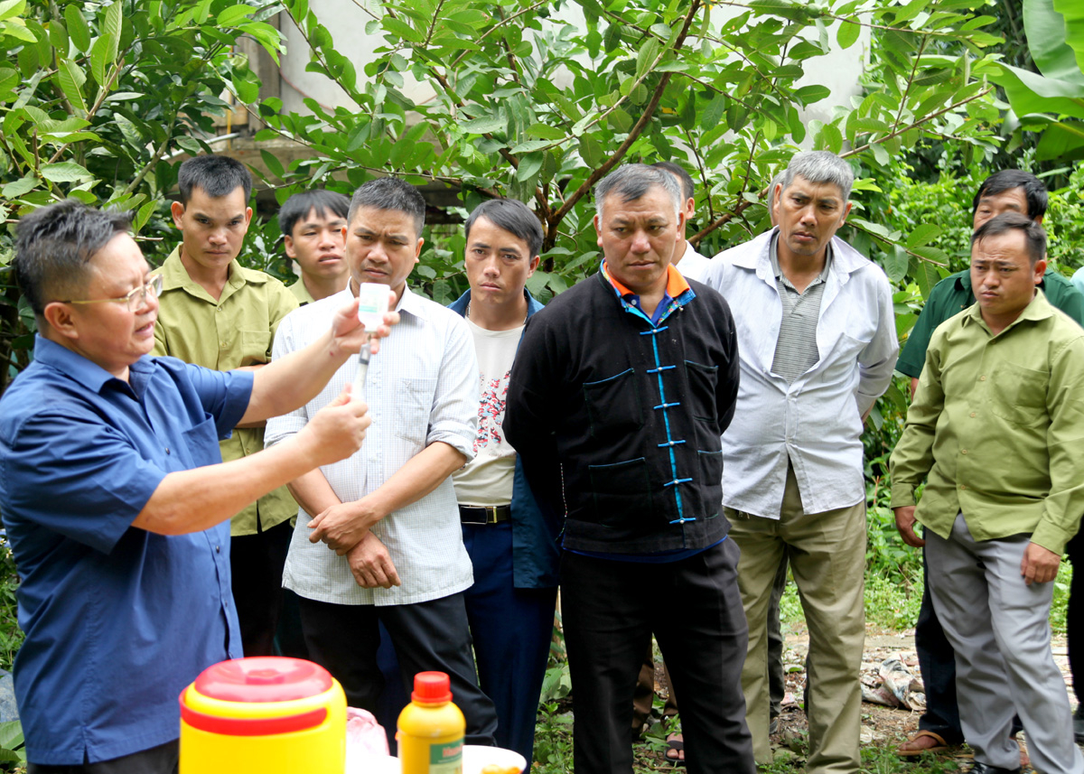 Chi cục Chăn nuôi, Thú y và Thuỷ sản tỉnh tổ chức tập huấn công tác tiêm phòng cho cán bộ thú y cơ sở huyện Yên Minh.
