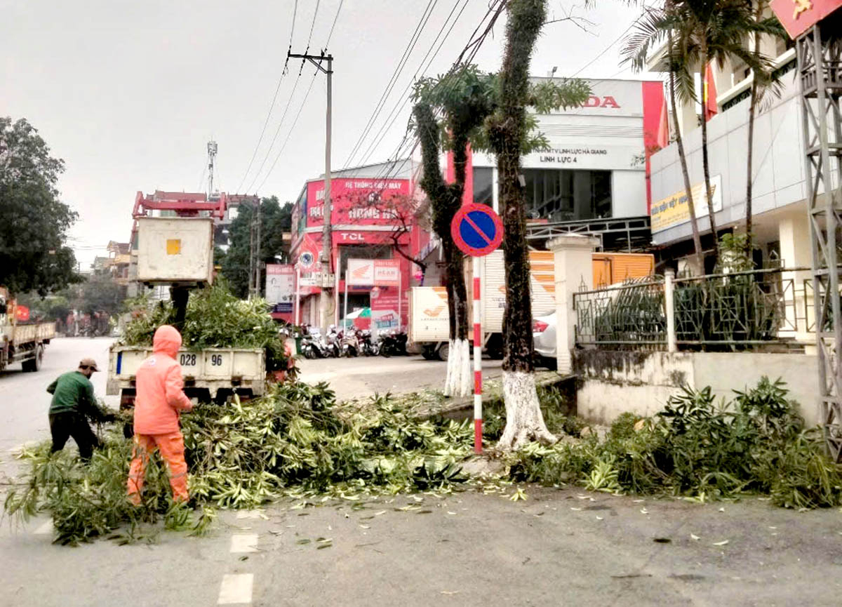 Công nhân Điện lực thành phố Hà Giang phát cây đảm bảo an toàn hành lang lưới điện trên địa bàn thành phố. 