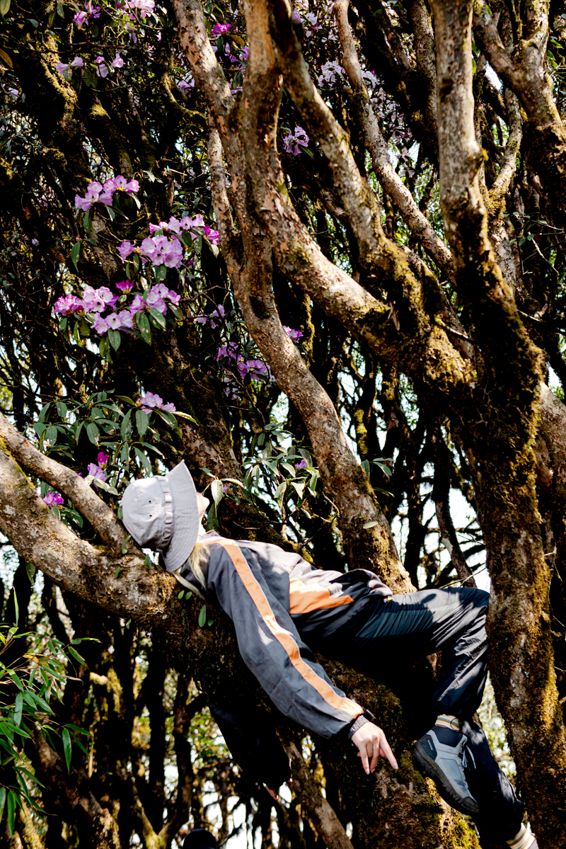 This was the first time Pham Kieu Trang (24 years old, from Hanoi) went trekking. She said: “On the first day of travelling,I was exhausted but determined not to give up. Coming here, I had to take the opportunity tobreathe fresh and fragrant air and admire beautiful naturebefore I returned to the smoky city”