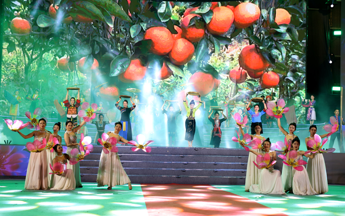 The combination of art and promoting the image of Ha Giang Sanh oranges.