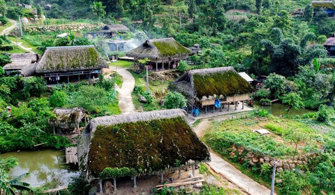 Xa Phin enjoys a cool climate year-round due to its elevation, sitting at almost 1,000 metres above sea level. The hilly terrain is characterised by fog and continued rainfall with high humidity. It is an ideal environment for plants to grow, including thick green moss, which is used by local ethnic minority people to cover the thatched roofs of their homes. (Photo: VNA)