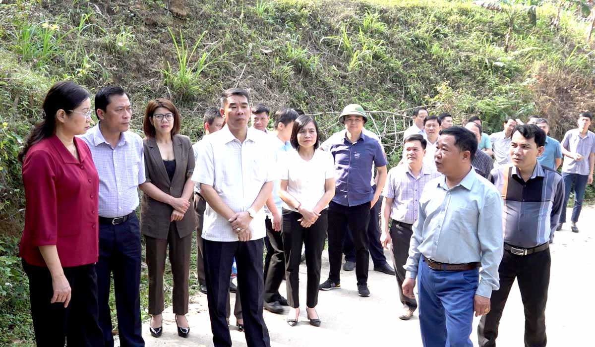 Phó Chủ tịch UBND tỉnh Hà Thị Minh Hạnh kiểm tra thực tế tại xã Đông Minh.