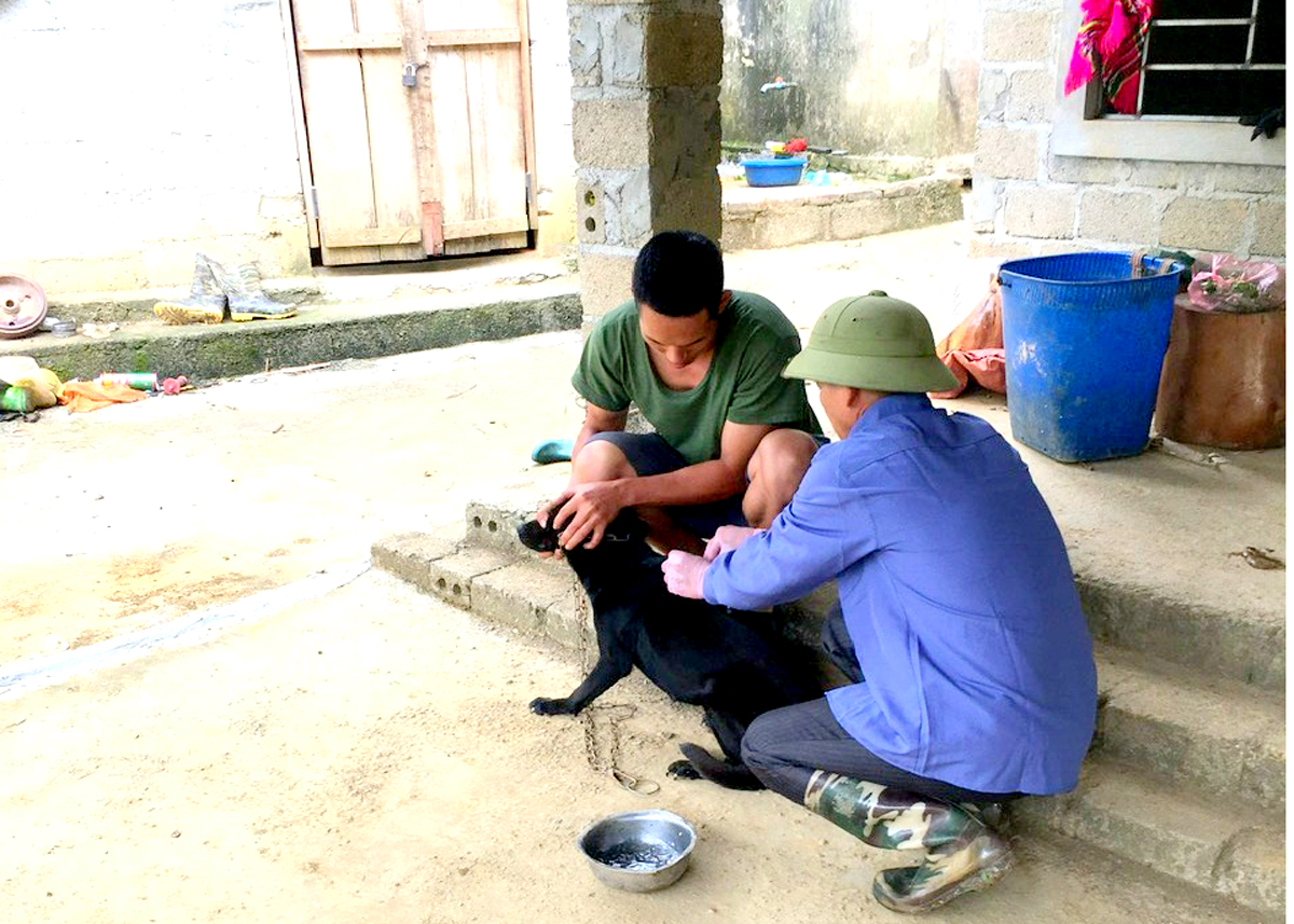 Tiêm phòng vắc xin Dại chó tại thôn Tân Tiến, xã Hữu Vinh.