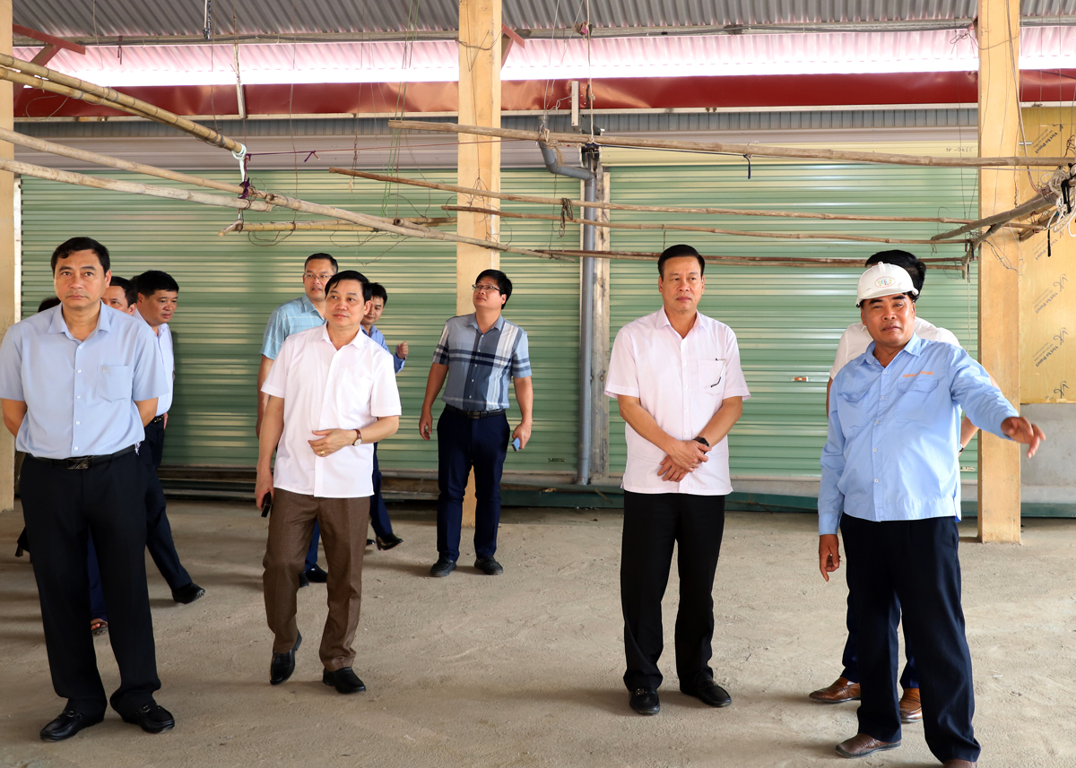 Chủ tịch UBND tỉnh Nguyễn Văn Sơn kiểm tra tình hình xây dựng chợ xã Tân Trịnh.