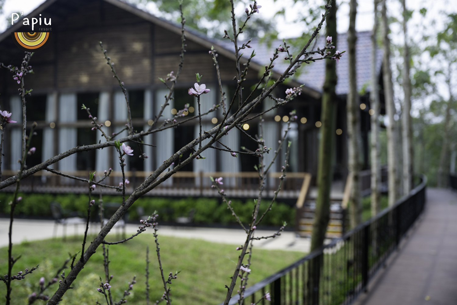 First buds greeting the spring in a Ravine twin villa.