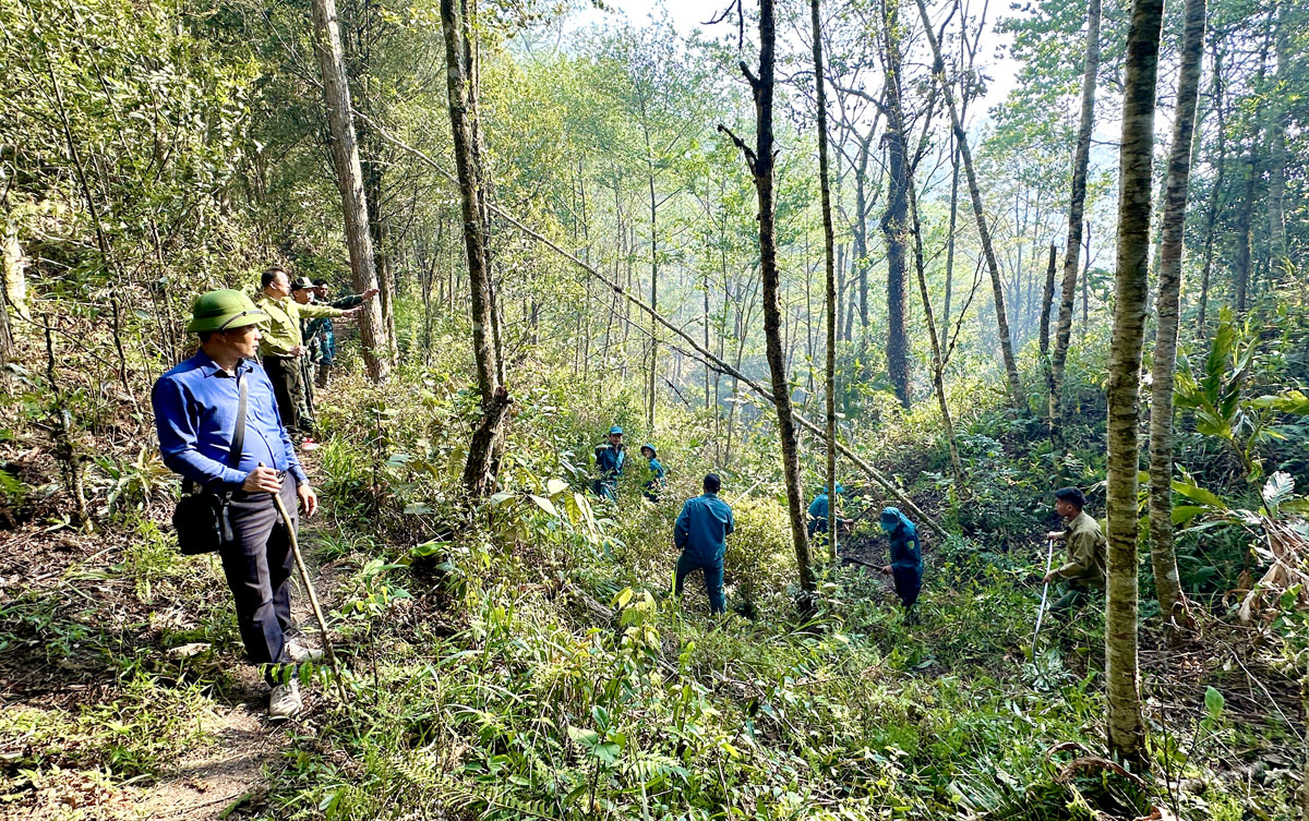 Chủ tịch UBND huyện Vị Xuyên Hoàng Thanh Tịnh trực tiếp chỉ đạo công tác chữa cháy rừng tại hiện trường.