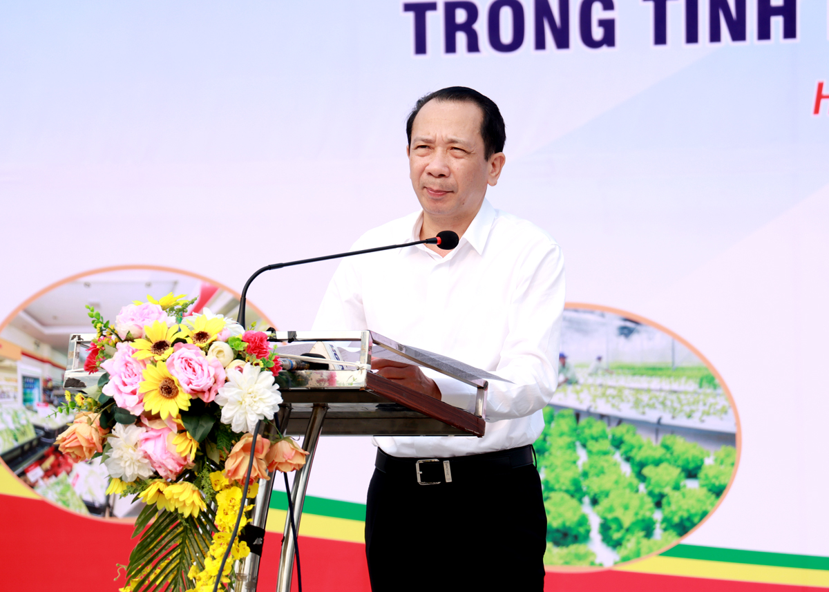 Phó Chủ tịch UBND tỉnh Trần Đức Quý phát biểu tại lễ phát động.