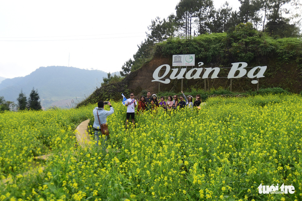 Visitors pose for a photo among a field of lettuce flowers in Quan Ba District, Ha Giang Province, Vietnam. Photo: Quang Dinh / Tuoi Tre