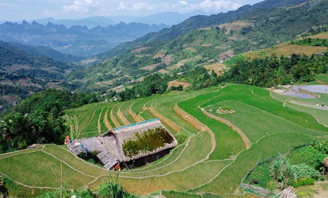 From Xa Phin village, visitors can look out towards terraced rice fields and mountains. (Photo: VNA)
