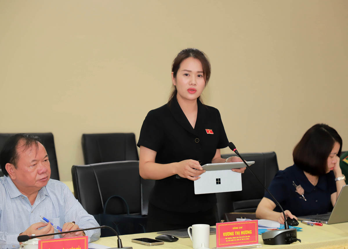 Đại biểu Vương Thị Hương thảo luận tại buổi giám sát.