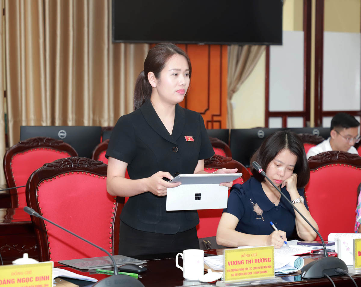 Đại biểu Vương Thị Hương thảo luận tại buổi giám sát.