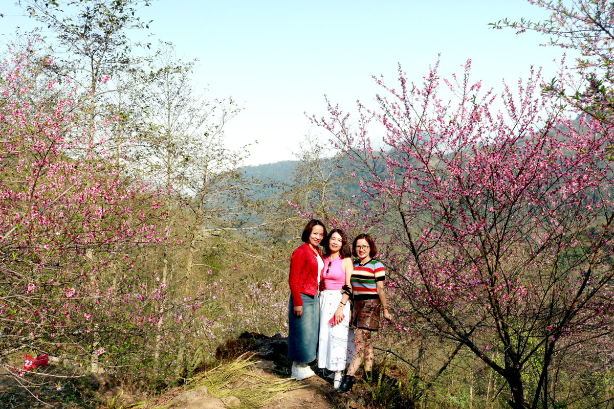 Tourists enjoy and save many beautiful moments with peach blossoms in the border area of Cao Ma Po.
