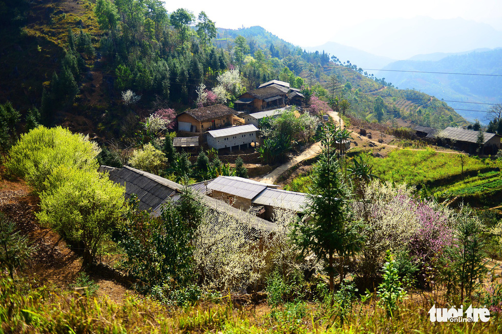 Local houses in Dong Van District, Ha Giang Province, Vietnam. Photo: Quang Dinh / Tuoi Tre