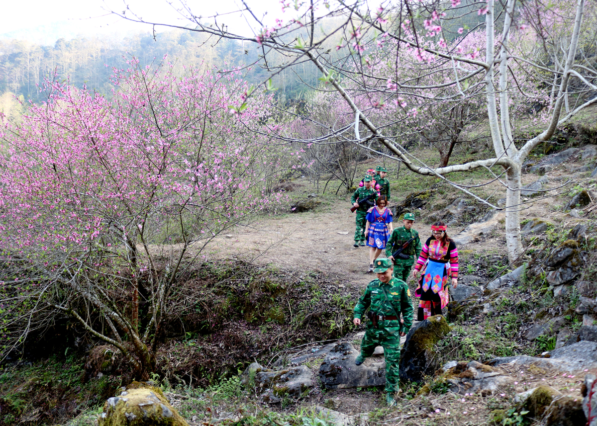 The patrol road becomes even more beautiful when the trees bloom and peach blossoms bloom.