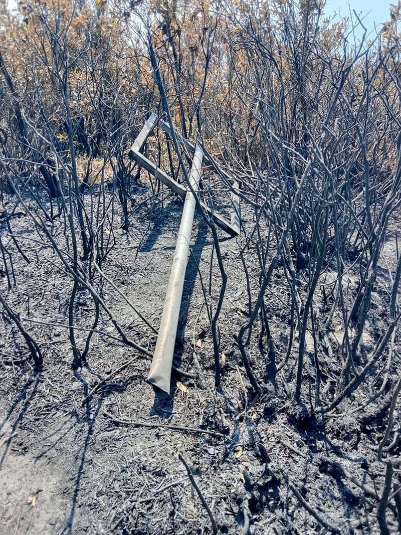 Nhiều diện tích rừng bị ngọn lửa thiêu rụi.
