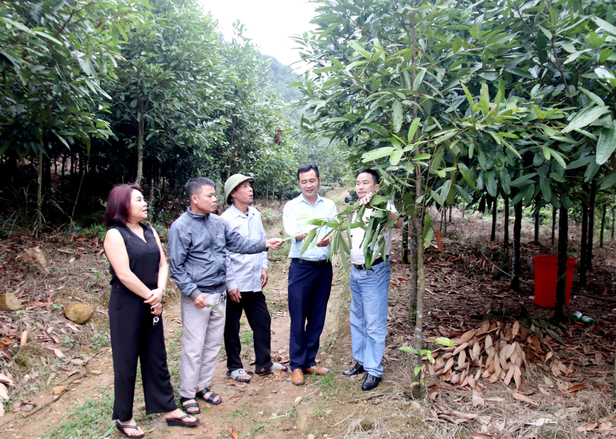 Lãnh đạo xã Tân Thành (Bắc Quang) kiểm tra diện tích rừng tại thôn Nậm Mu.