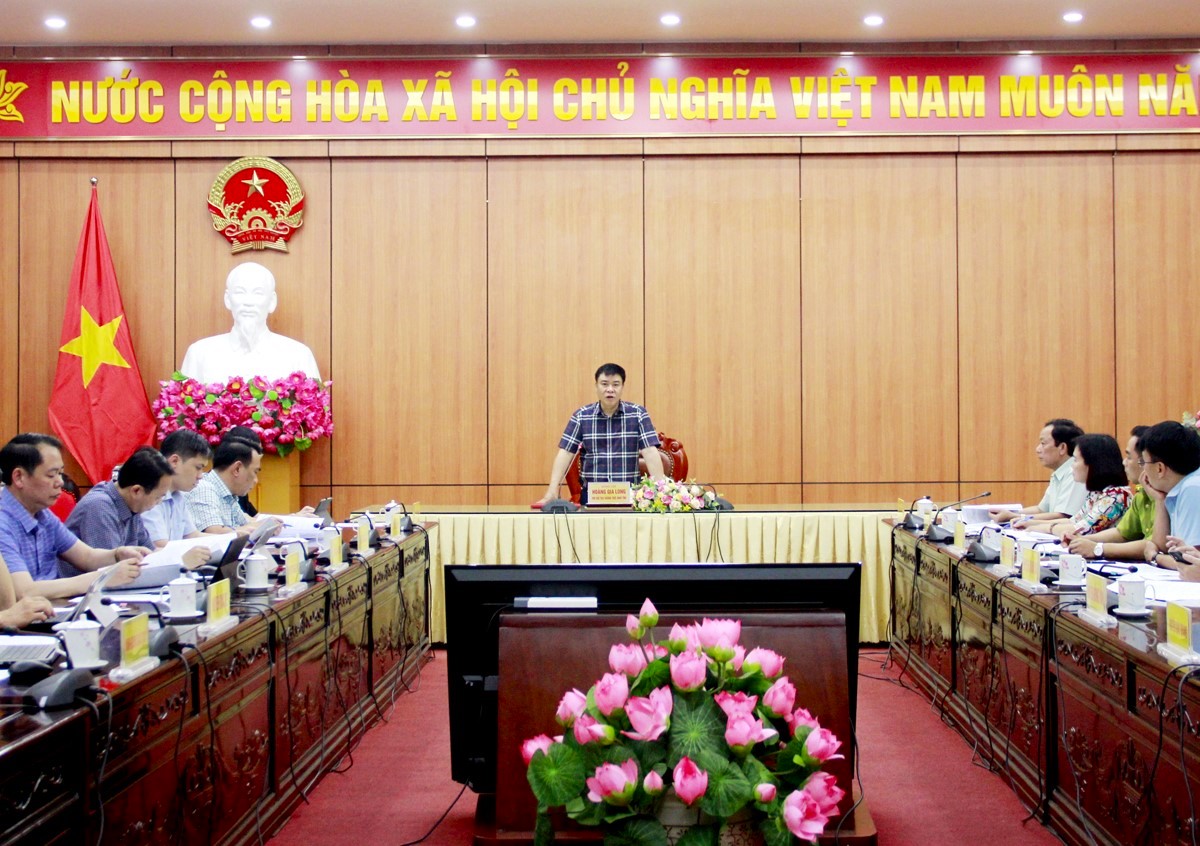 Phó Chủ tịch Thường trực UBND tỉnh Hoàng Gia Long phát biểu tại cuộc họp.