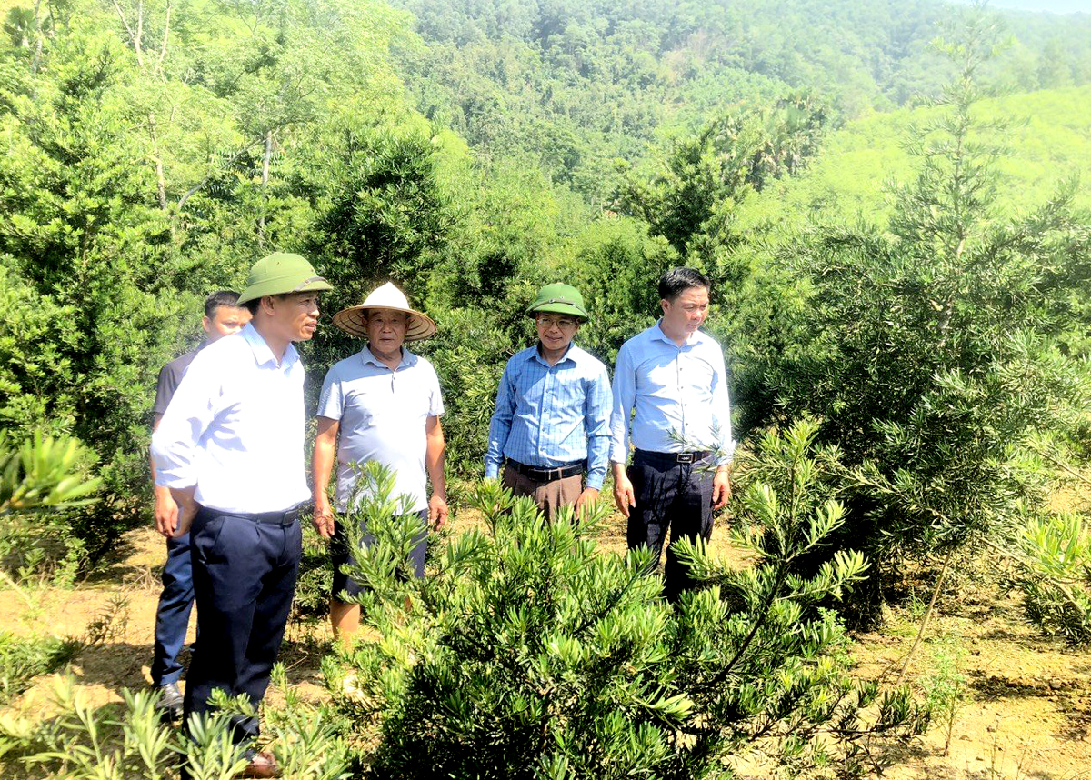 Thường trực Huyện ủy Bắc Quang kiểm tra mô hình “Đảng viên hưu trí làm kinh tế giỏi” tại xã Kim Ngọc.
