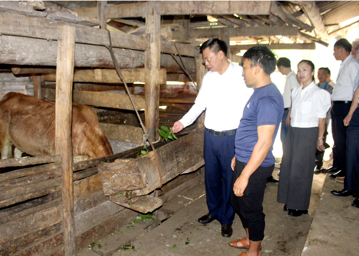 Lãnh đạo huyện Đồng Văn thăm mô hình cải tạo vườn tạp, chuyển đổi chăn nuôi của gia đình anh Hầu Mí Thò, thôn Há Súng, xã Tả Lủng.