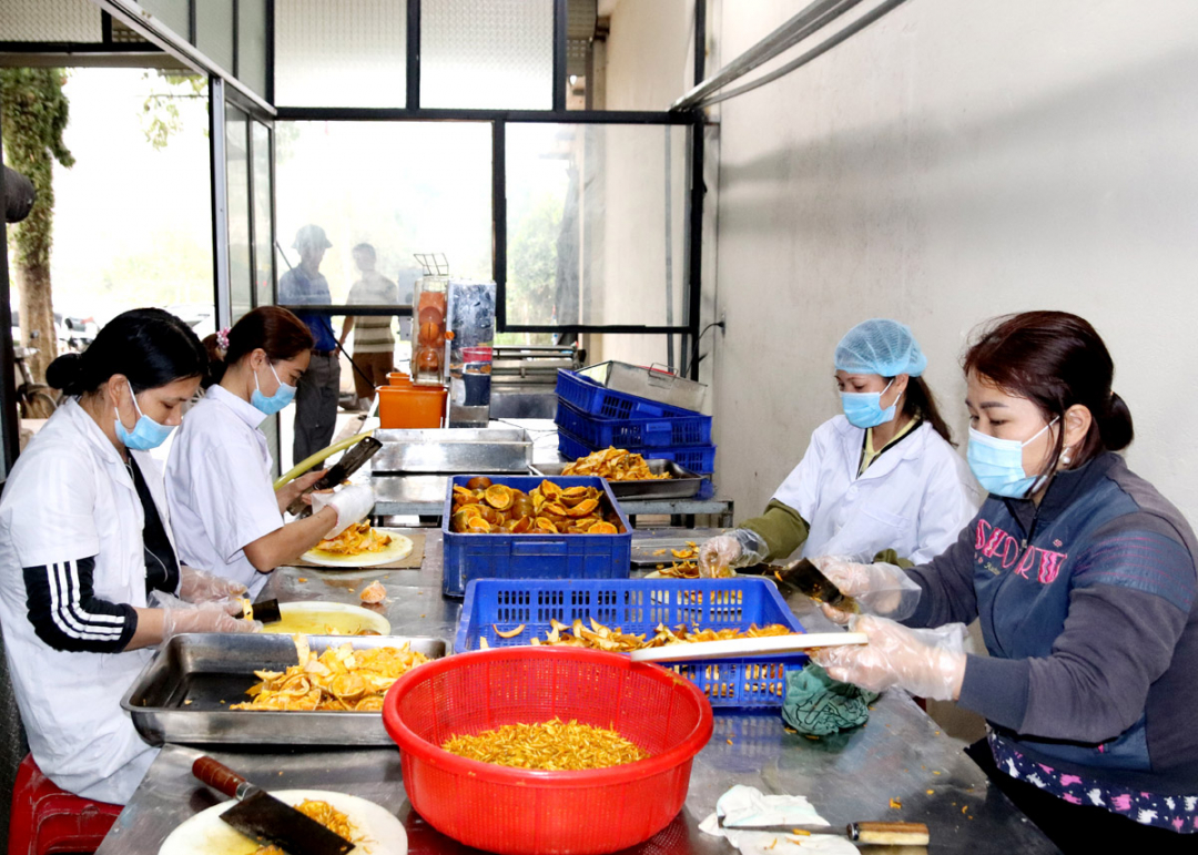 Cam Ta Joint Stock Company in Dong Thanh Commune, Bac Quang District, is a pioneer in processing ‘cam sanh’ (a typical type of orange).