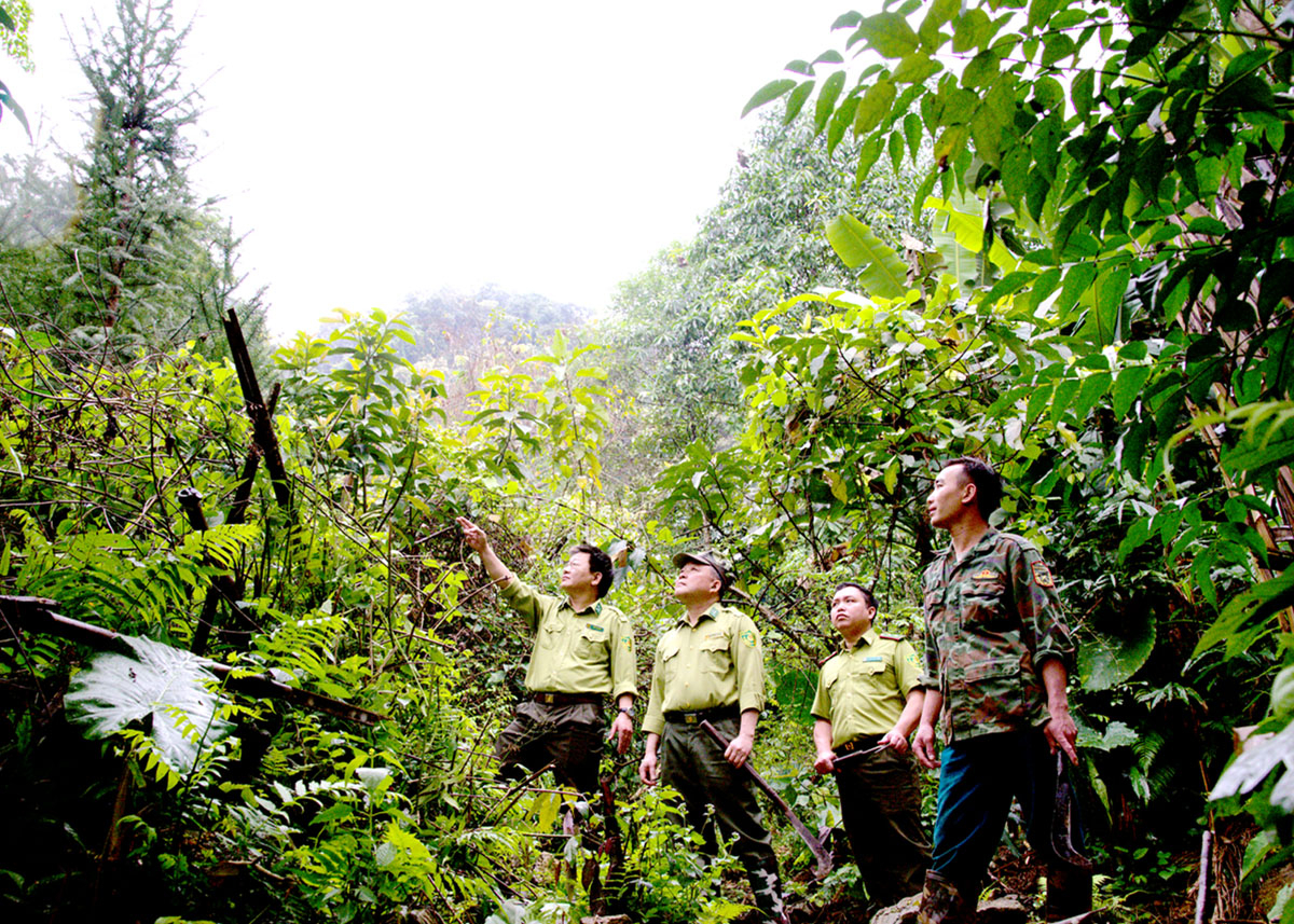 Cán bộ Hạt Kiểm lâm Vị Xuyên kiểm tra rừng tại xã Thuận Hòa.

