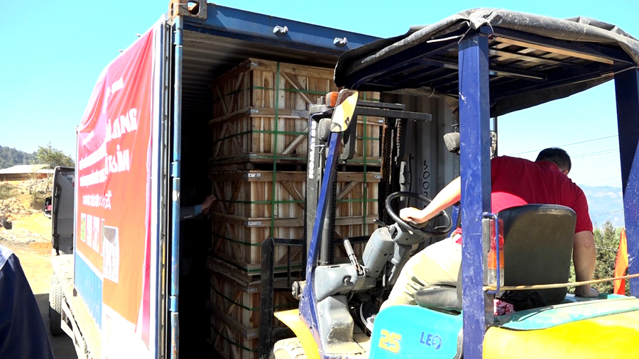 The first shipment of pickled radish is waiting to be exported to Japan.