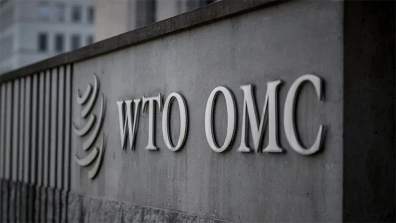 Các nhà lãnh đạo Tổ chức Thương mại Thế giới (WTO) kêu gọi nhanh chóng cải cách tổ chức đa phương này để duy trì tự do thương mại toàn cầu.
