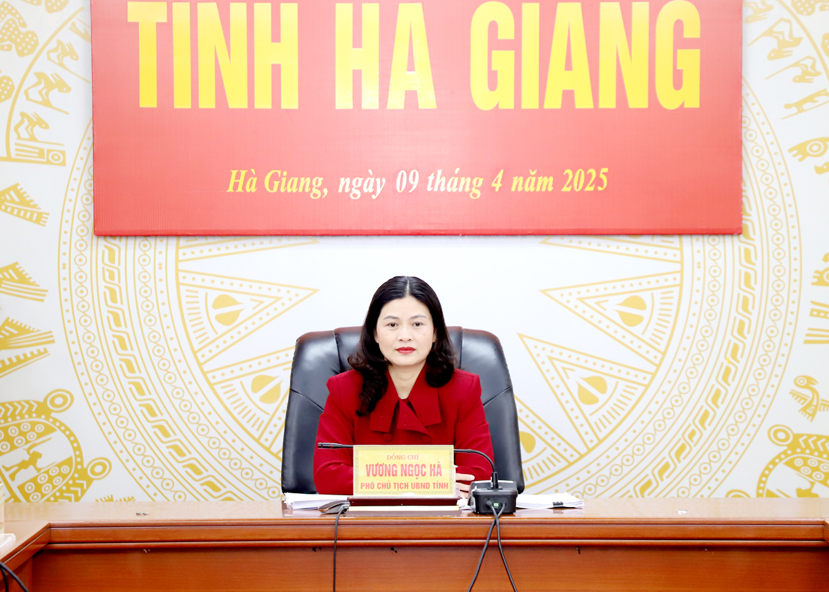 Phó Chủ tịch UBND tỉnh Vương Ngọc Hà chủ trì hội nghị tại điểm cầu tỉnh.