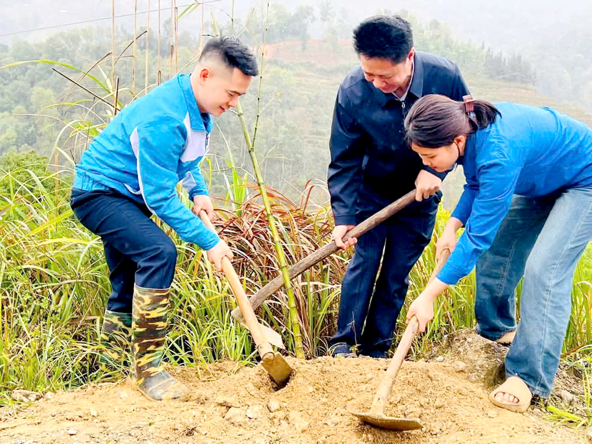Huyện đoàn Hoàng Su Phì tổ chức trồng cây chống sạt lở đất tại xã Nậm Dịch