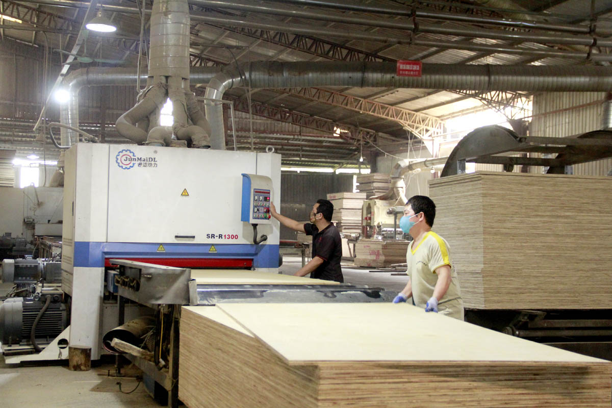 The production line of high-quality plywood products at Thai Hoang Construction and Trading Joint Stock Company in Nam Quang industrial cluster (Bac Quang District).