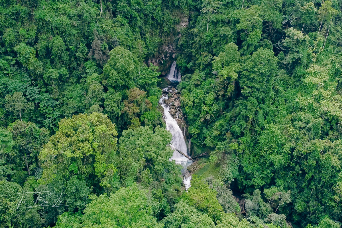 Natural forests in Ha Giang Province.