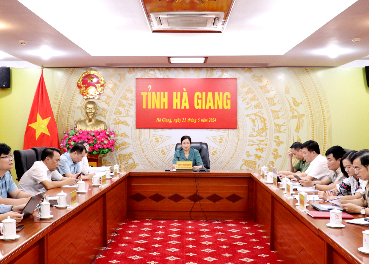 Phó Chủ tịch UBND tỉnh Hà Thị Minh Hạnh và đại diện các sở, ngành dự hội nghị tại điểm cầu của tỉnh.