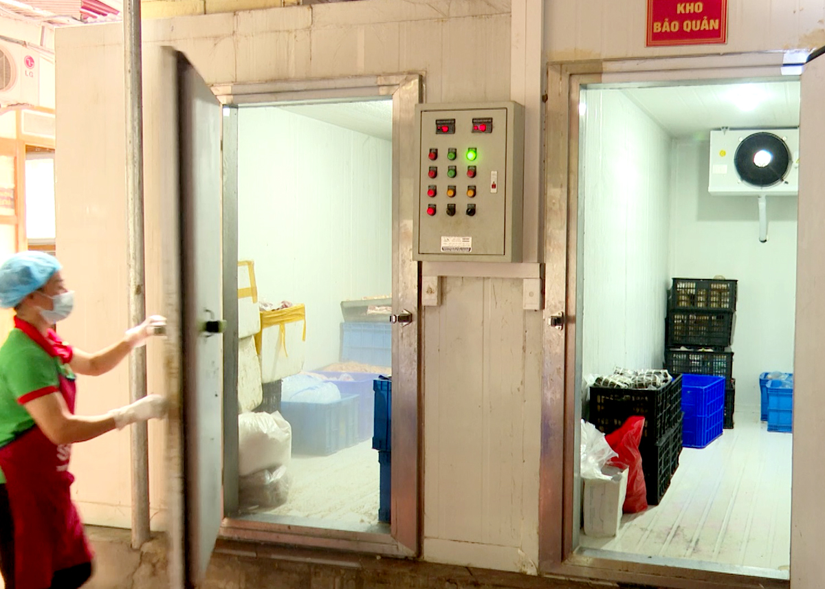Từ nguồn vốn Khuyến công, HTX Hải Khang (Bắc Quang) được hỗ trợ máy, tủ đông lạnh và kho bảo quản thực phẩm