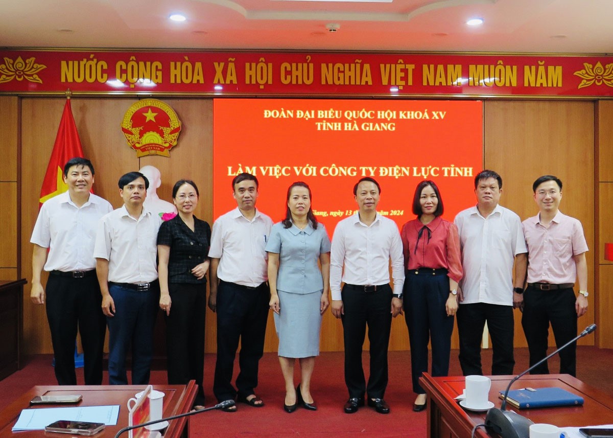 Phó Trưởng đoàn chuyên trách Đoàn ĐBQH khóa XV đơn vị tỉnh Hà Giang Lý Thị Lan cùng lãnh đạo Công ty Điện lực Hà Giang.