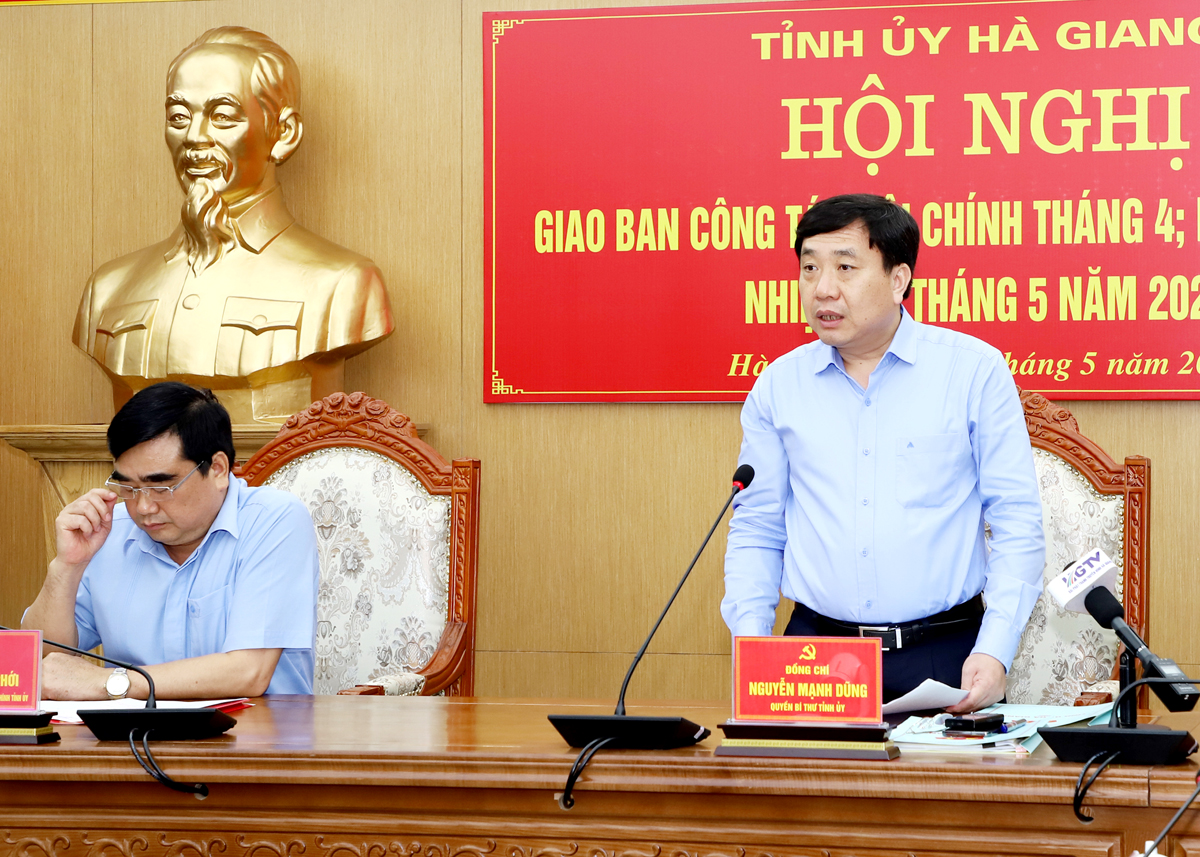 Quyền Bí thư Tỉnh ủy Nguyễn Mạnh Dũng phát biểu kết luận hội nghị