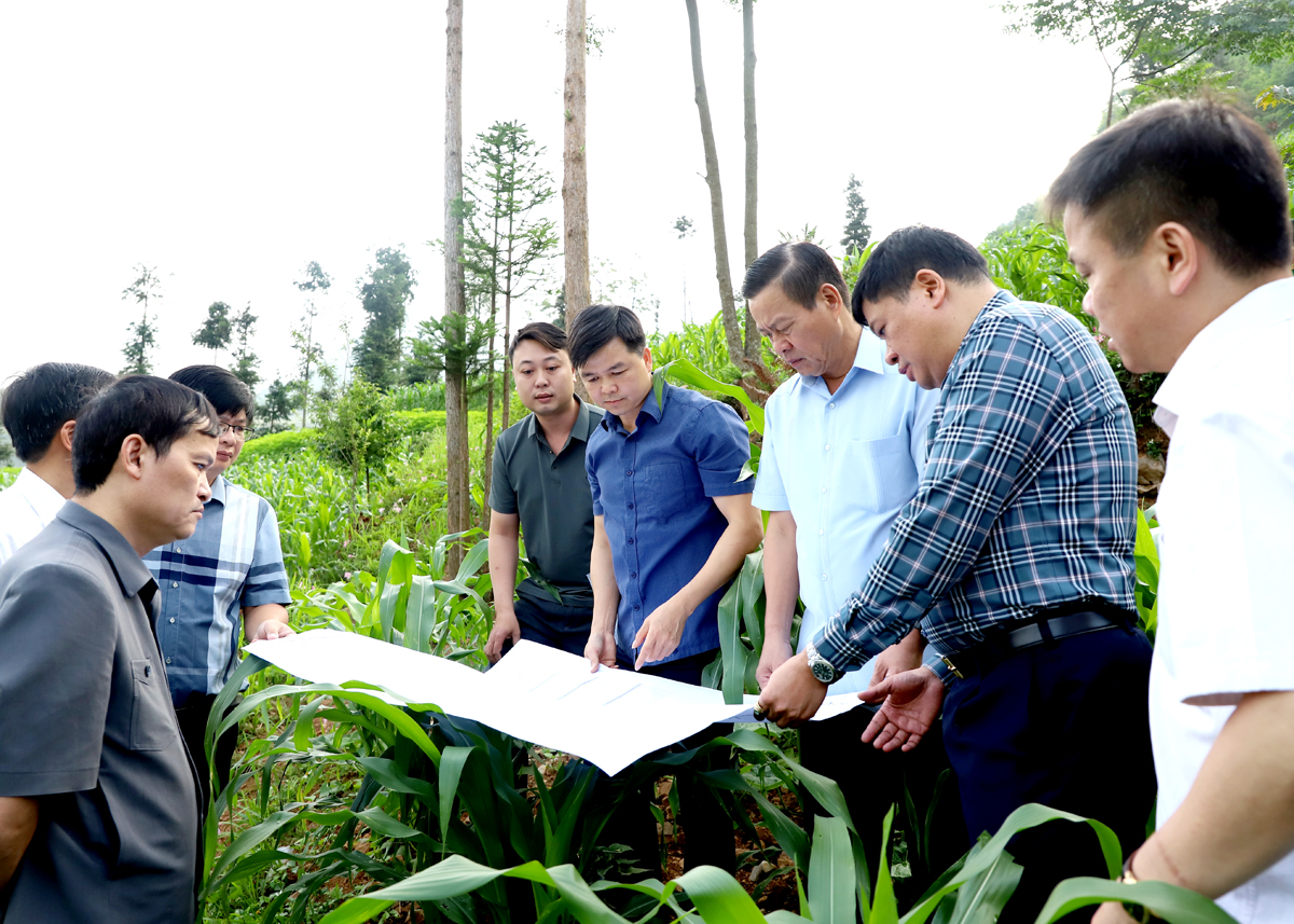 Chủ tịch UBND tỉnh Nguyễn Văn Sơn kiểm tra bản đồ địa điểm dự kiến xây dựng bể chứa nước cung cấp cho thị trấn Mèo Vạc.