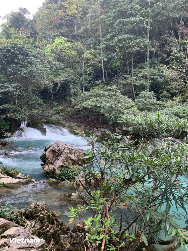 Suối nước trong xanh trong Khu Di tích Pác Bó. 