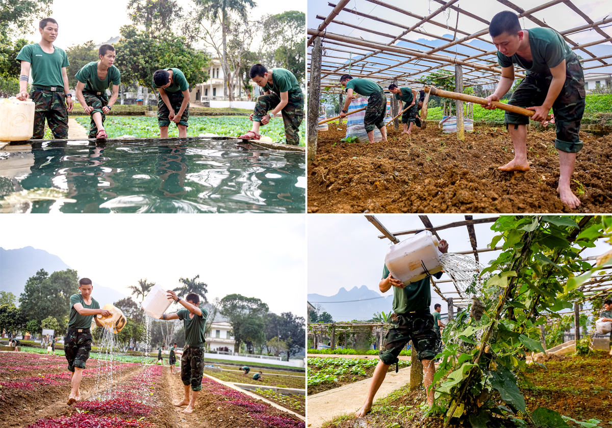 Ý thức, tinh thần đoàn kết được thể hiện qua mỗi nhiệm vụ, việc tăng gia sản xuất sau mỗi giờ huấn luyện trở thành một phần trách nhiệm hàng ngày của tân binh. Những vườn rau xanh mơn mởn, những ao cá hay những con gà tự nuôi trồng là nguồn thực phẩm được tăng cường cho các chiến sỹ trong đơn vị.