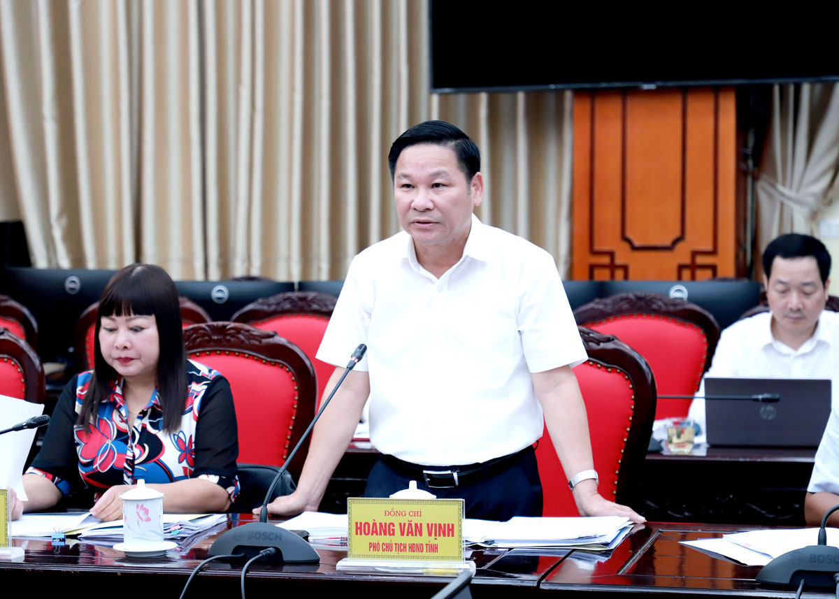 Phó Chủ tịch HĐND tỉnh Hoàng Văn Vịnh thảo luận tại buổi giám sát.