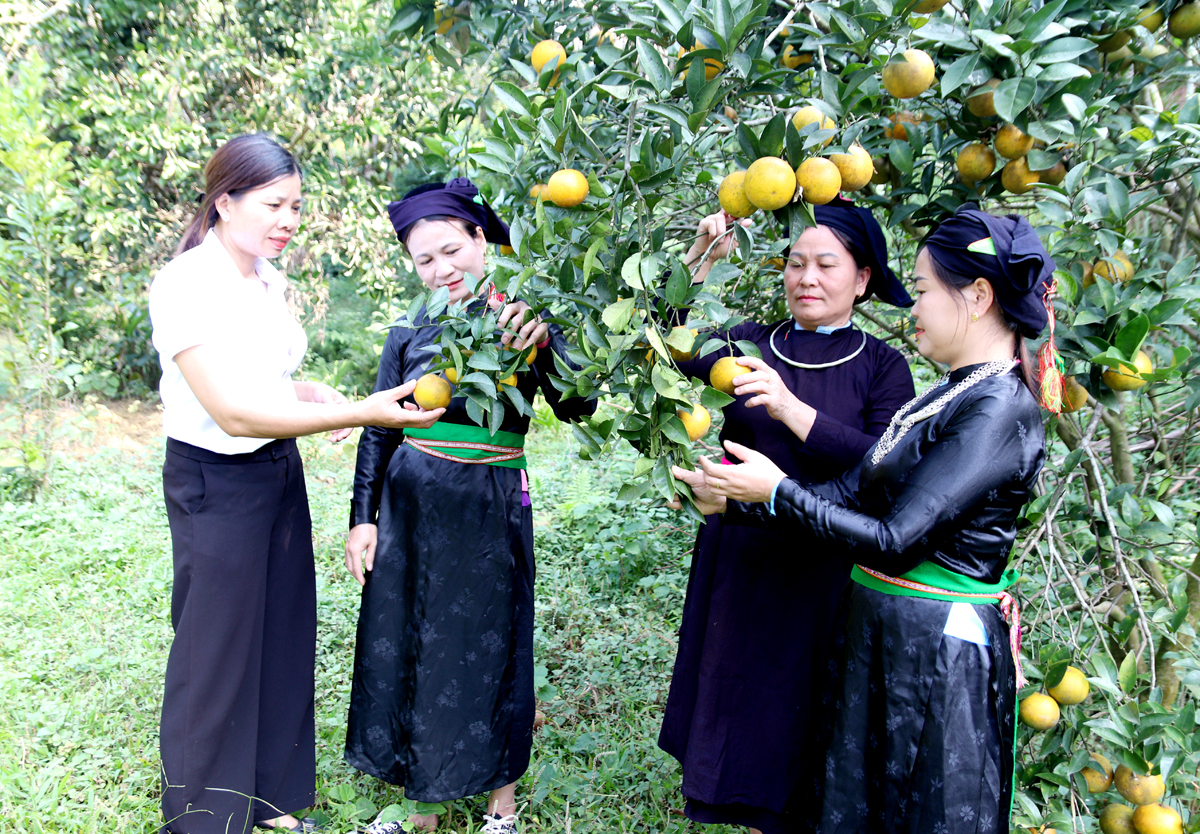 Bí thư Đảng ủy xã Việt Hồng, Nguyễn Thị Túy (trái) kiểm tra việc phát triển kinh tế ở cơ sở.
