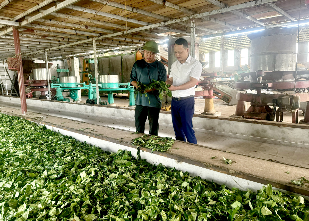 Cán bộ Agribank Tân Quang kiểm tra việc sử dụng vốn vay của Hợp tác xã chế biến nông sản Hậu Kiều, thôn Mục Lạn, xã Tân Quang (Bắc Quang).