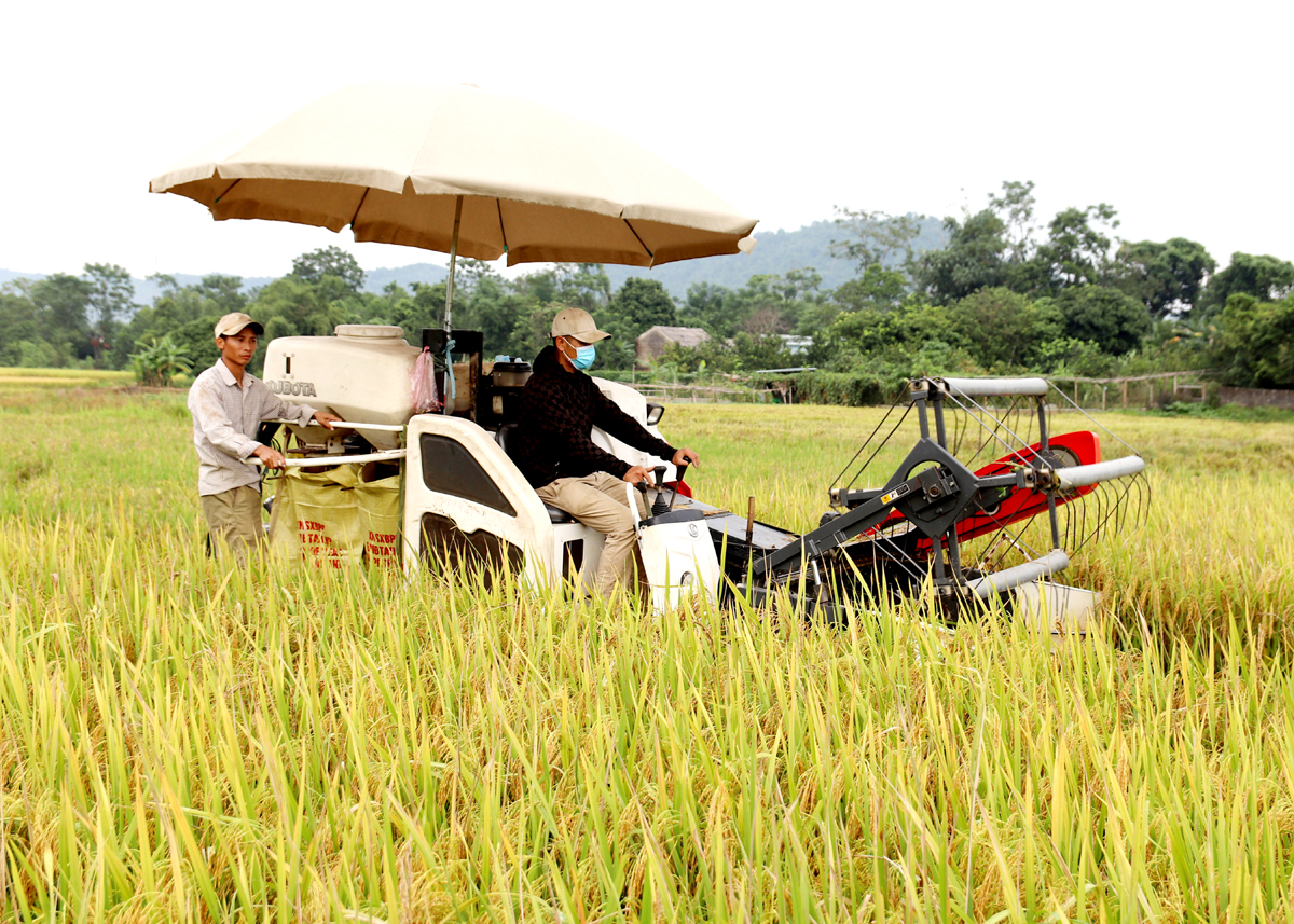  Từ sự lãnh đạo của chi bộ, người dân thôn Tân Thành, xã Việt Vinh (Bắc Quang) đưa cơ giới vào sản xuất nông nghiệp.                                          