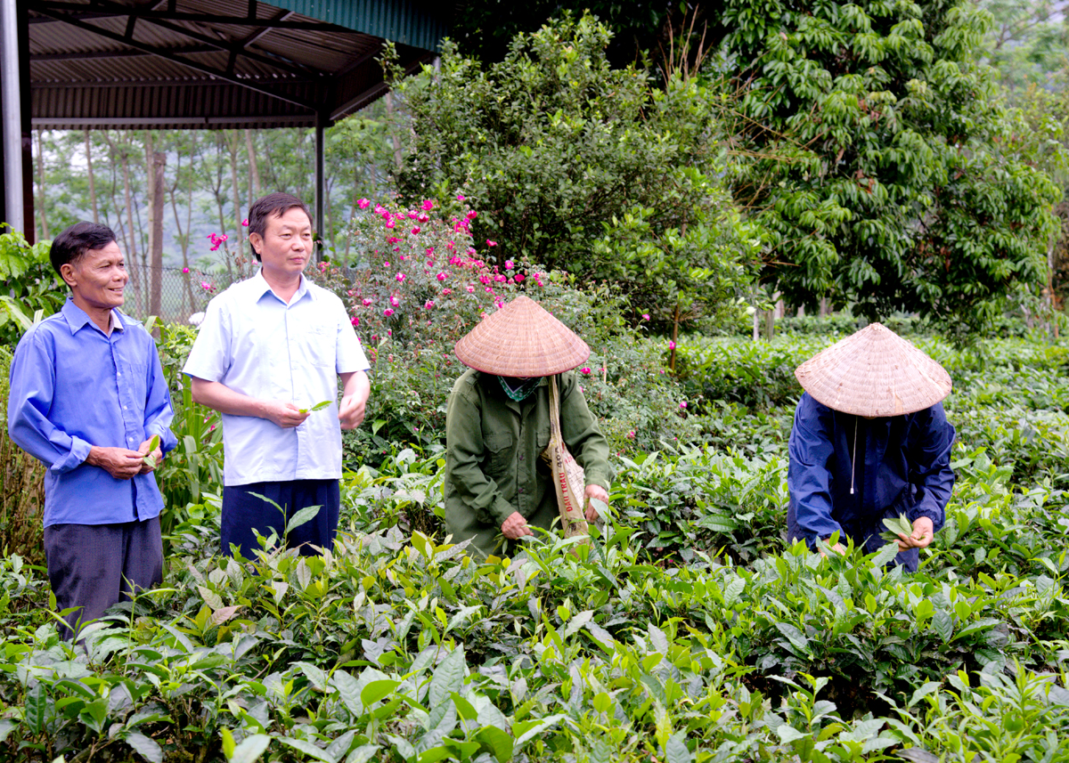Lãnh đạo thị trấn Yên Bình (Quang Bình) vận động người dân tích cực tham gia sản xuất.