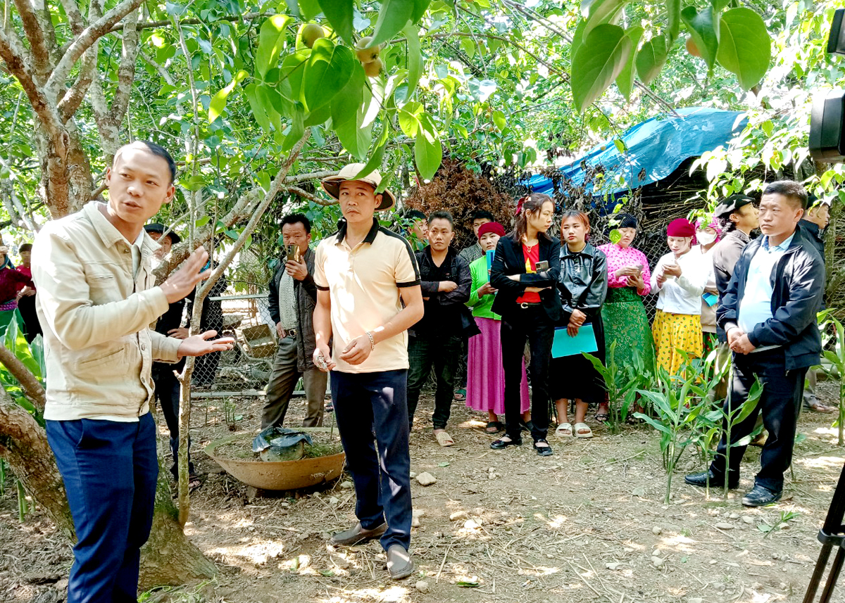 Người dân xã Sủng Là tham gia tập huấn kỹ thuật chăm sóc, phòng trừ sâu bệnh cây lê tại vườn.